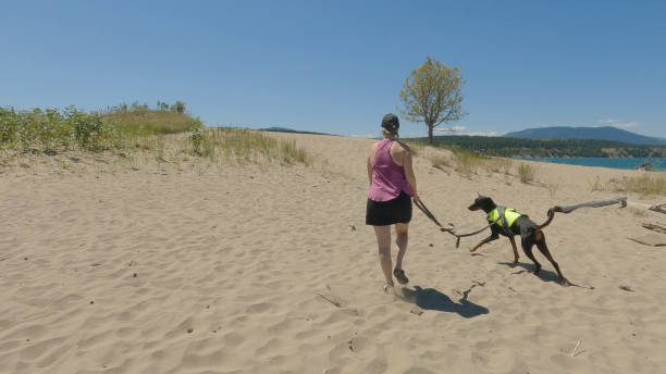 Woman walks dog on sand dunes Lake Koocanusa, British Columbia dog beach canada stock pictures, royalty-free photos & images