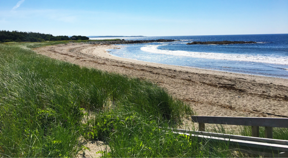Martinique Beach Provincial Park - Discover Halifax