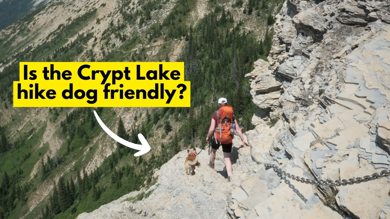 Hiking Crypt Lake With My Dog (Top 20 Most Thrilling Hikes) - YouTube