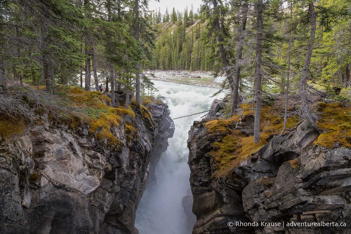 Siffleur Falls Hike- Guide to Hiking Siffleur Falls Trail