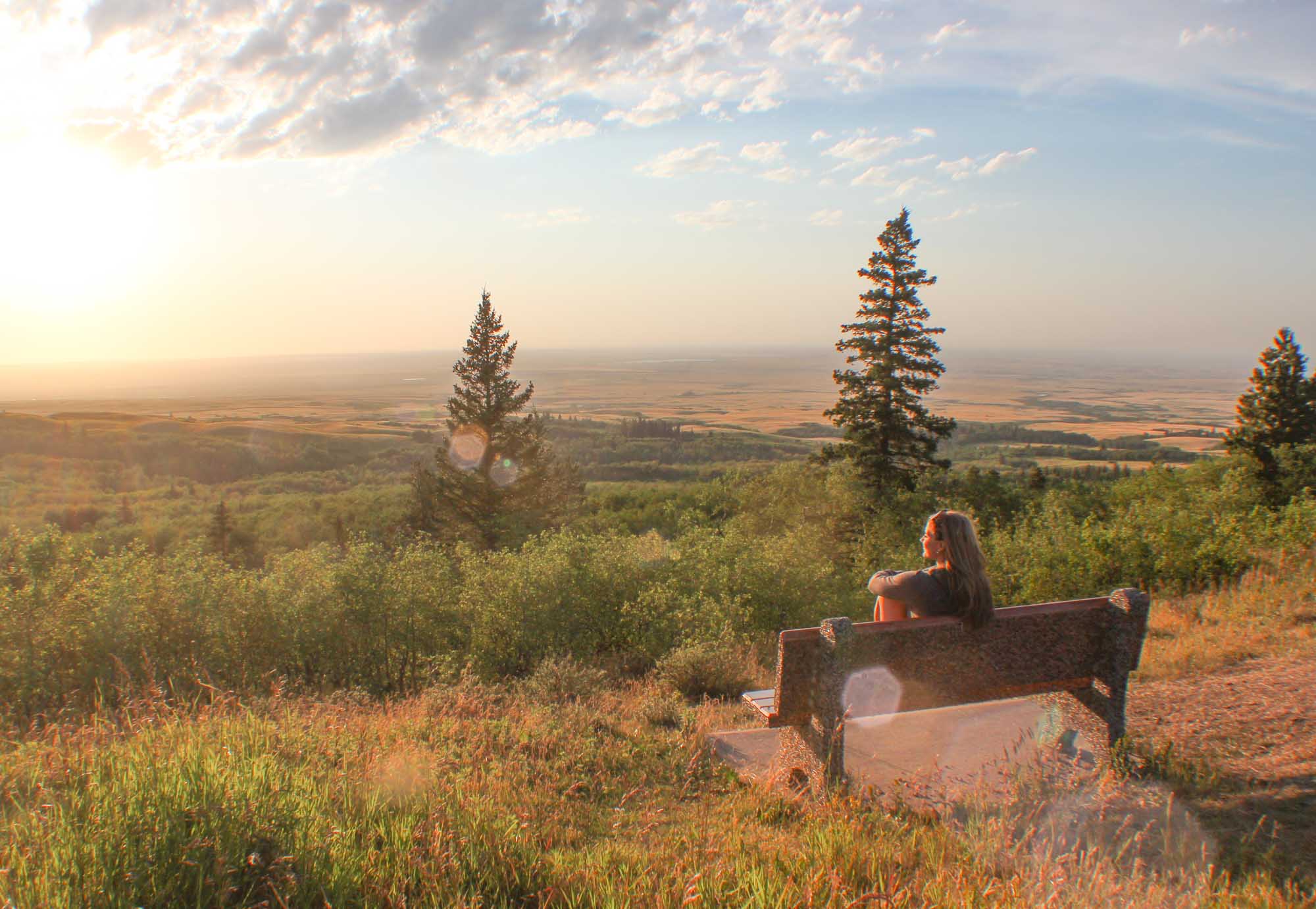 Wandering in Cypress Hills Interprovincial Park: A Saskatchewan Provincial  Parks Signature Experience﻿