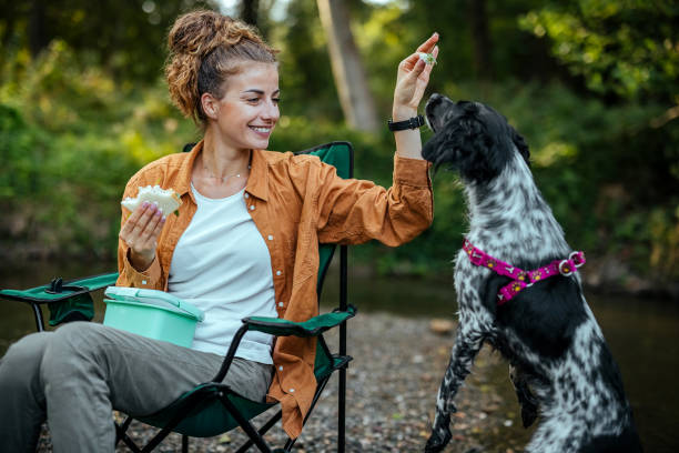 Meal break Woman is sitting by the river and eating a sandwich dog eating spinach stock pictures, royalty-free photos & images