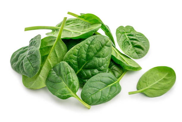 Pile of fresh green baby spinach leaves isolated  on white background. Close up Pile of fresh green baby spinach leaves isolated  on white background. Close up spinach stock pictures, royalty-free photos & images