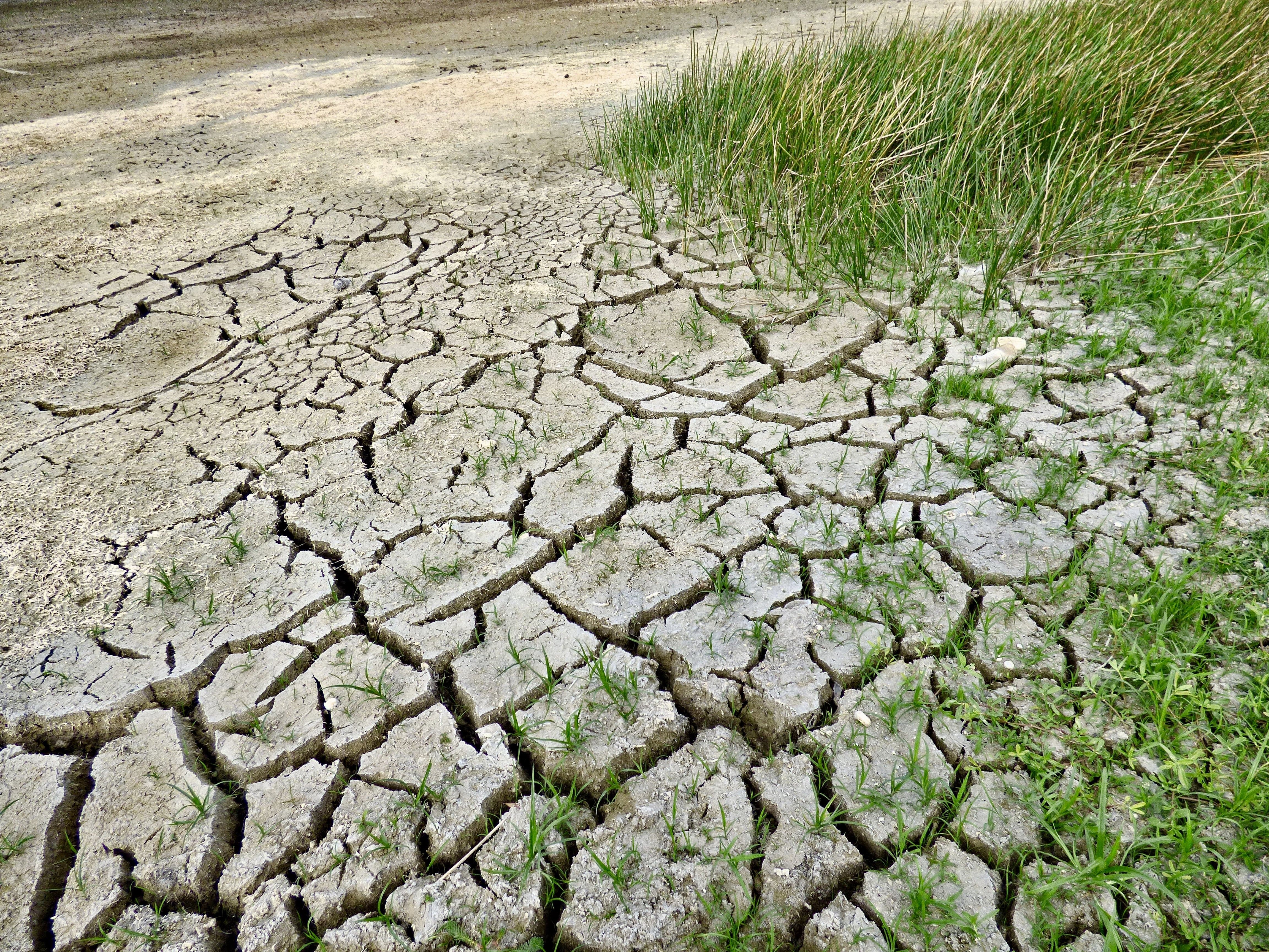 A desertificação é uma das consequências do aquecimento global
