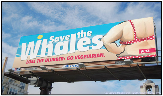 peta_whales