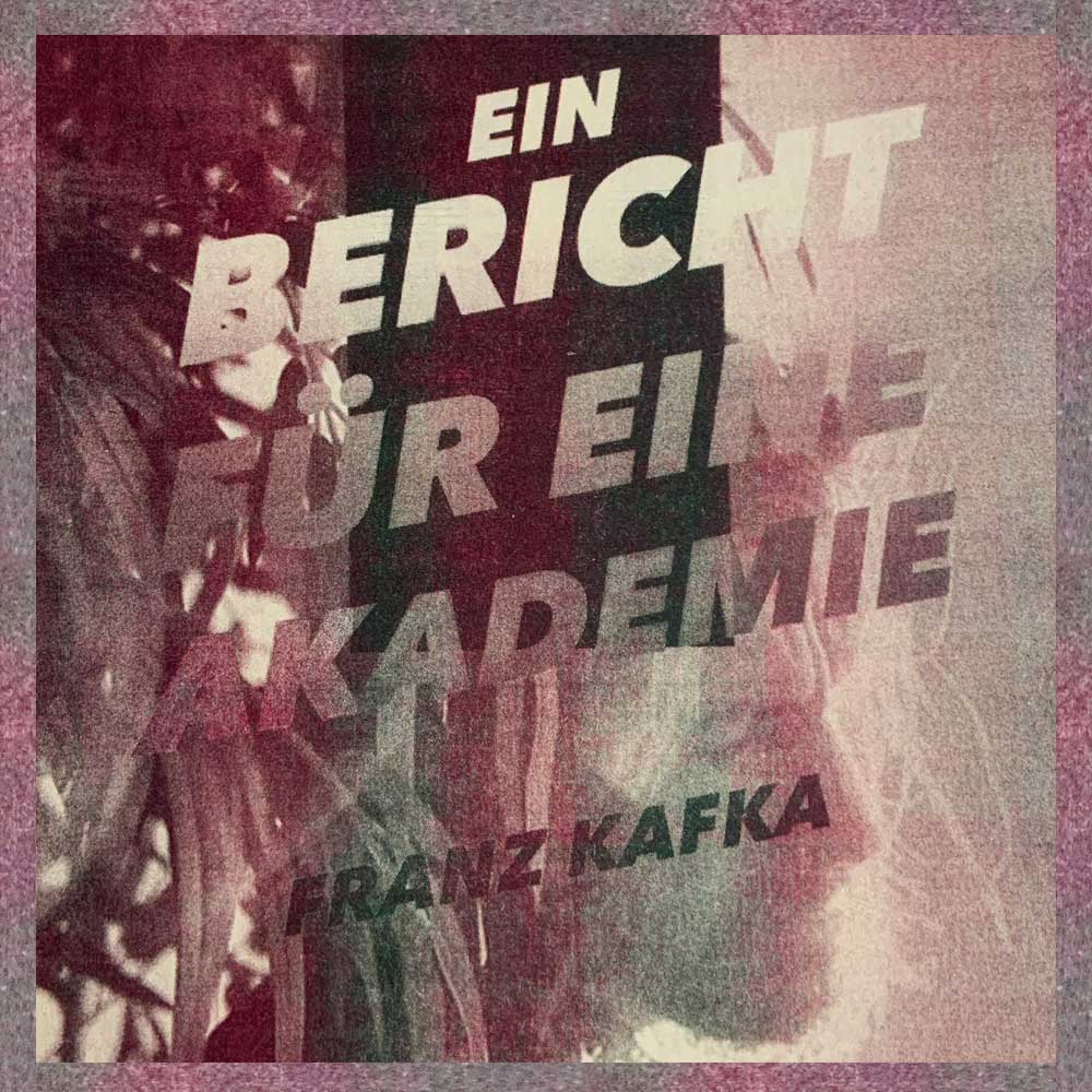 ein bericht für eine akademie