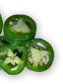 Jalapeño Pepper