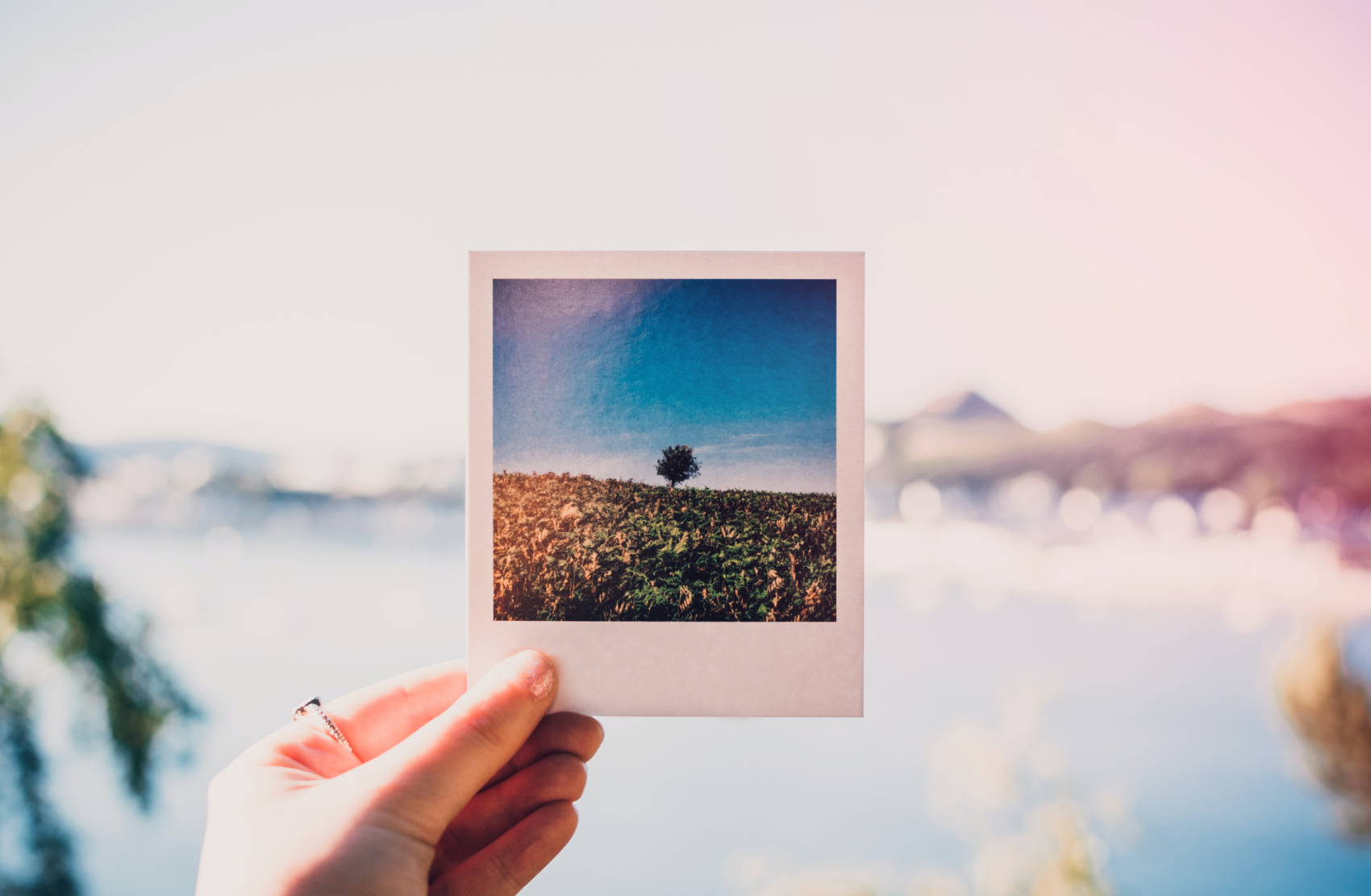 Polaroid photograph illustrates the link between epilepsy and memory loss