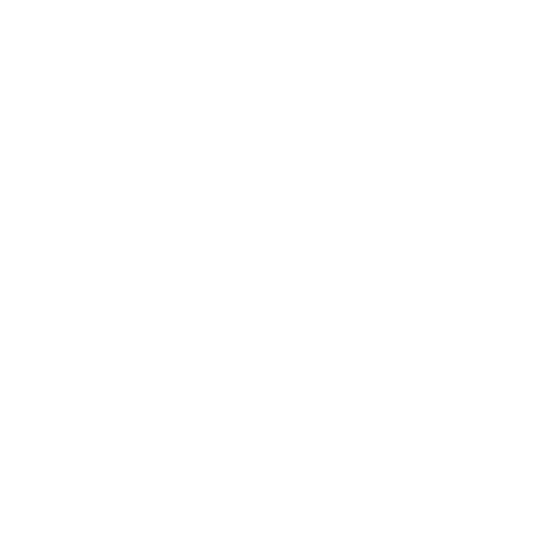 Ledbury Health Partnership - Practice pharmacist icon