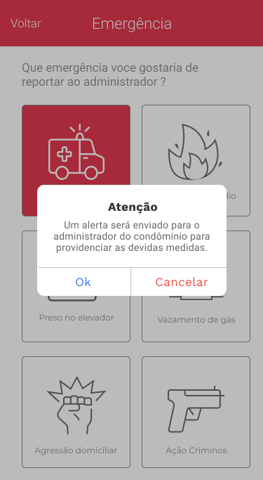App noknox tela emergência selecionada