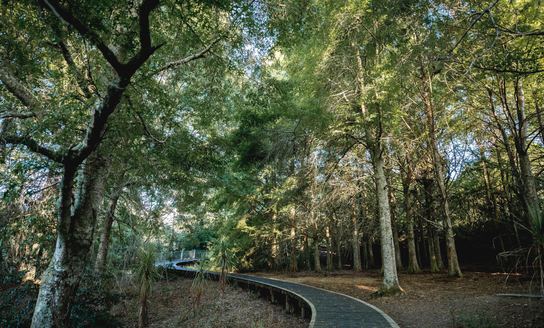Sunrise-Garden-BushWalk