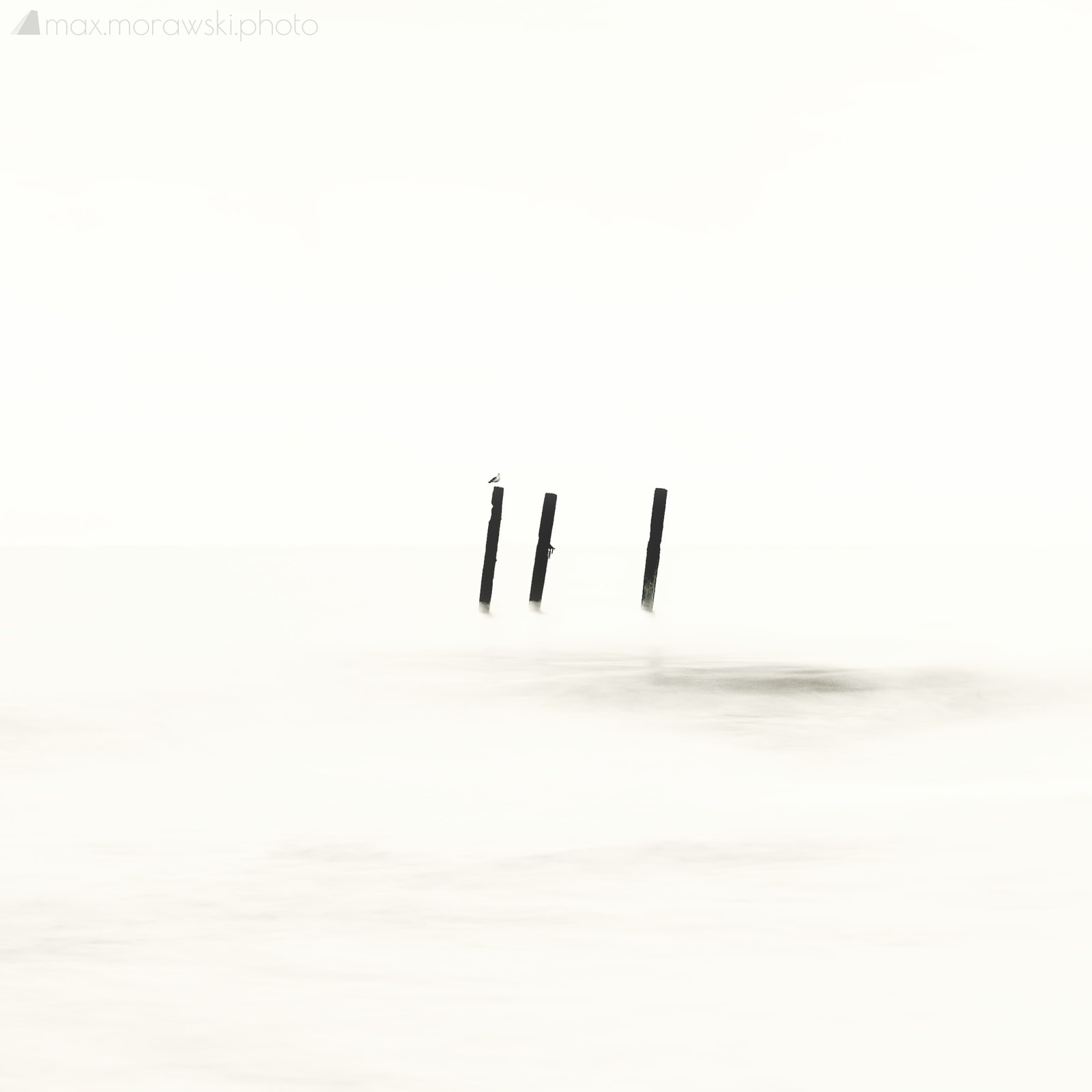Impertinent lure of impermanence (ii)