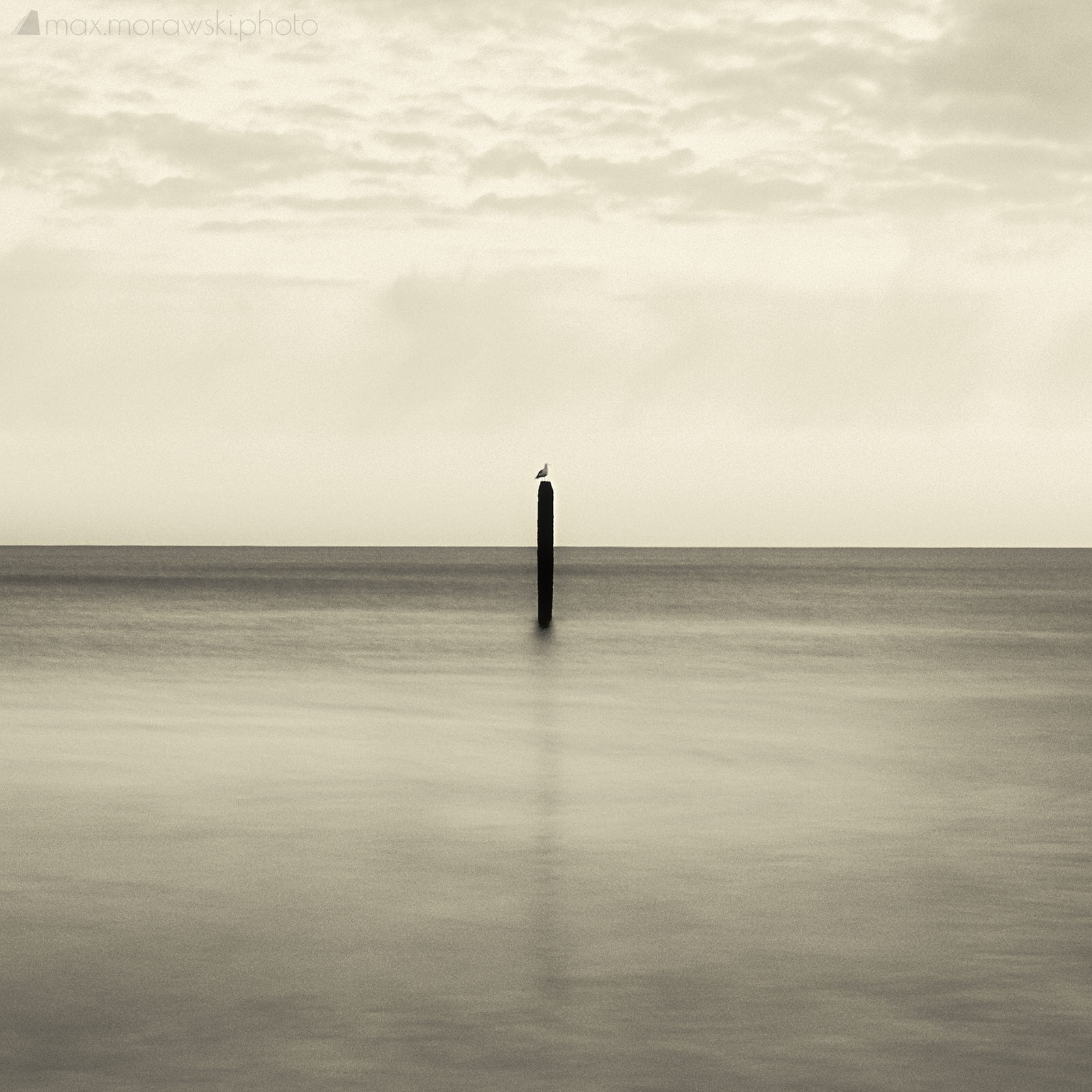 Everything is ending... but not just yet (VII)