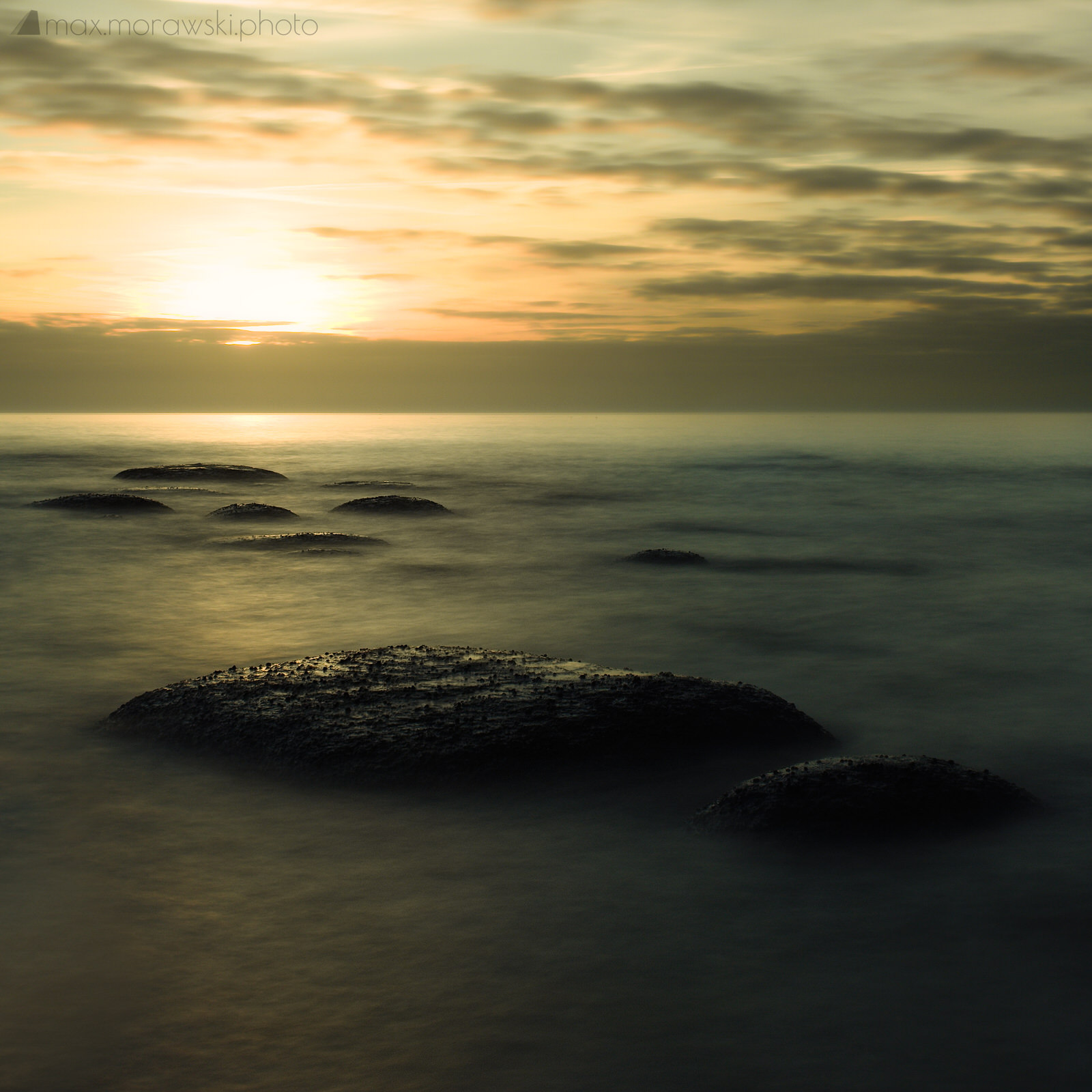 Lifeforms basking in the light of a setting star