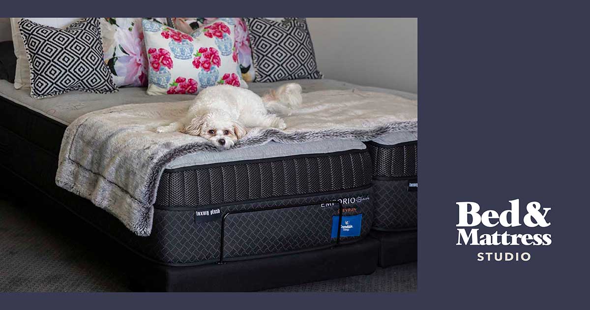 AH Beard Adjustable Bed Bases Bed & Mattress Studio