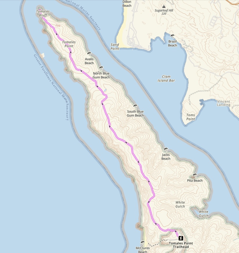 Tomales Point Trail Hike