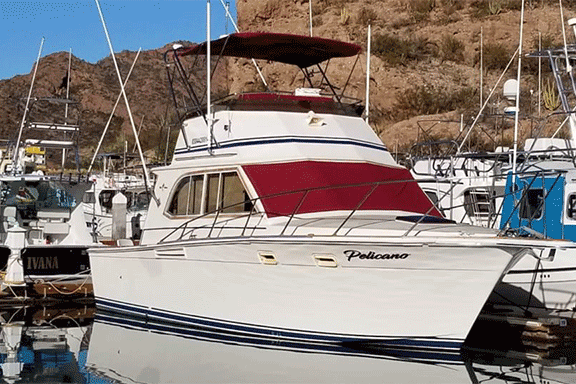 San Carlos Charter Boats Home