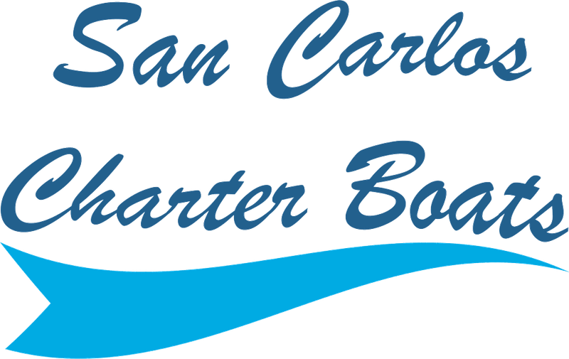 Charter Boat Reservations in San Carlos, Mexico