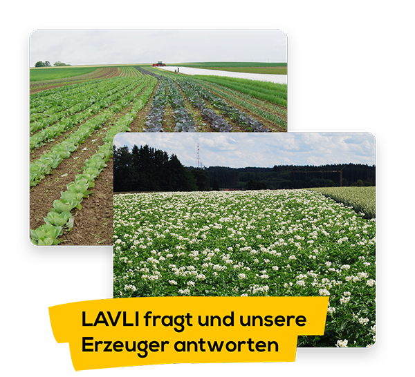 LAVLI fragt, unsere Erzeuger antworten