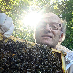 Imker Gerhard Sobotzki mit Bienen