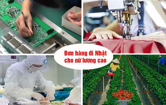 đơn hàng đi nhât cho nữ