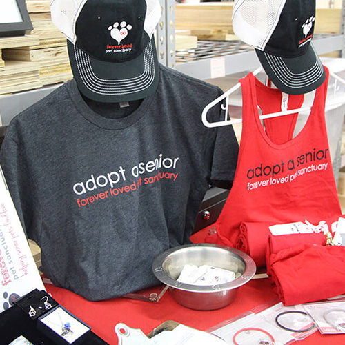 Forever Loved Pet Sanctuary helping senior dogs in AZ