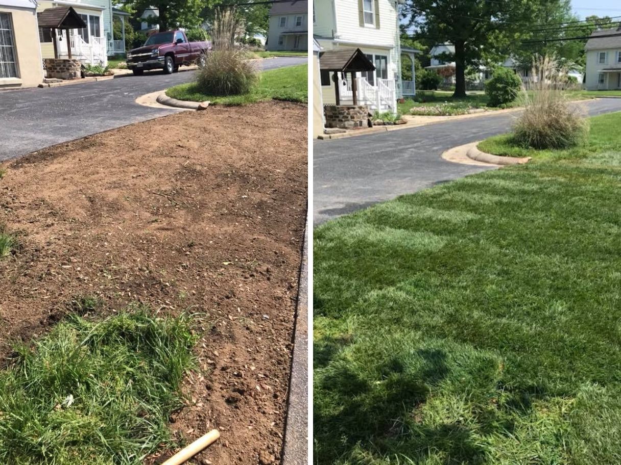 landscaping-before-and-after-sod-install