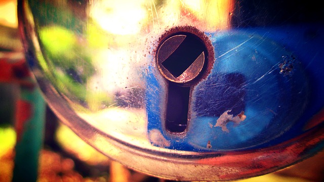 What does a mechanics lien do?