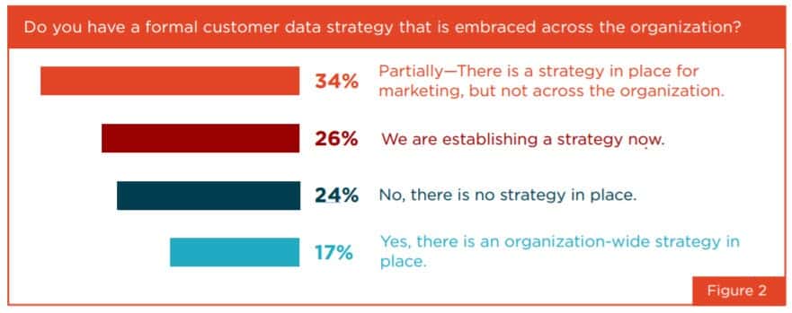 companies that have a formal customer data strategy