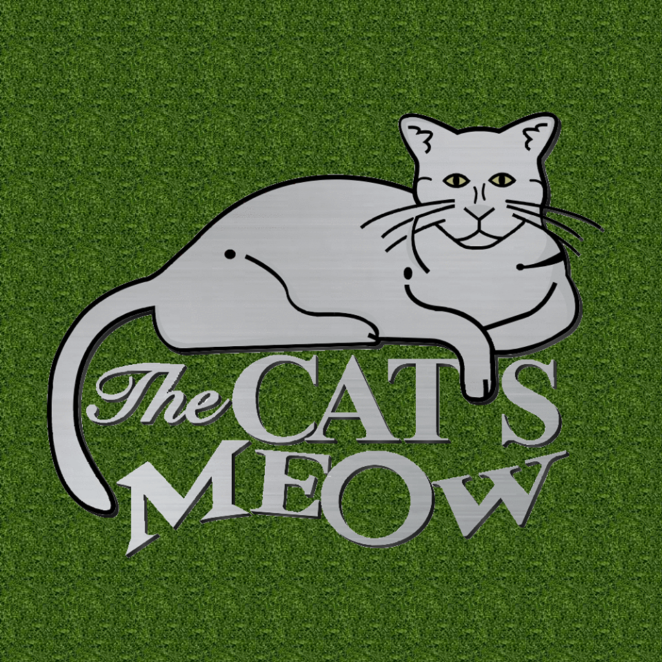 Meet the Team The Cat's Meow Veterinary Hospital