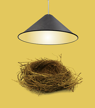 A pendant cone light by Tom Dixon shining on a bird’s nest.