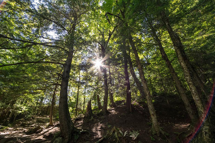Getting more sun gives you the Vitamin D you need