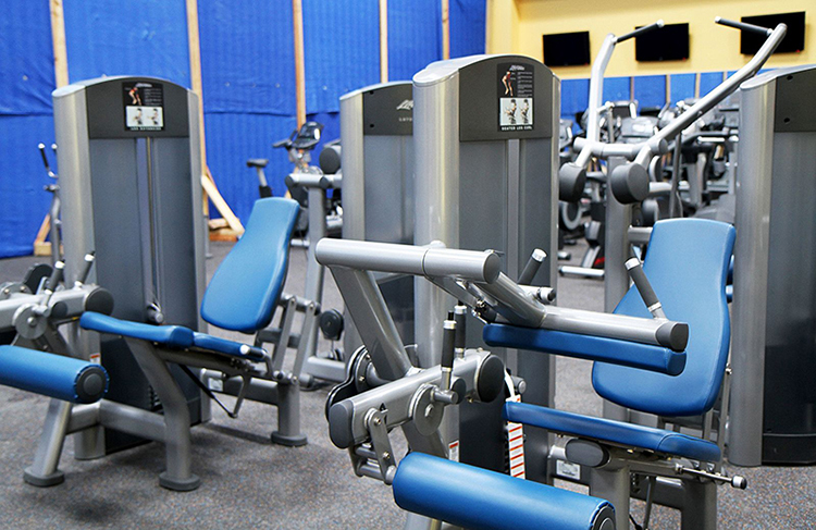 Machines in the gym - should I use machines or free weights