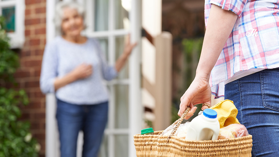 Grocery Delivery Guide for Seniors Over 60