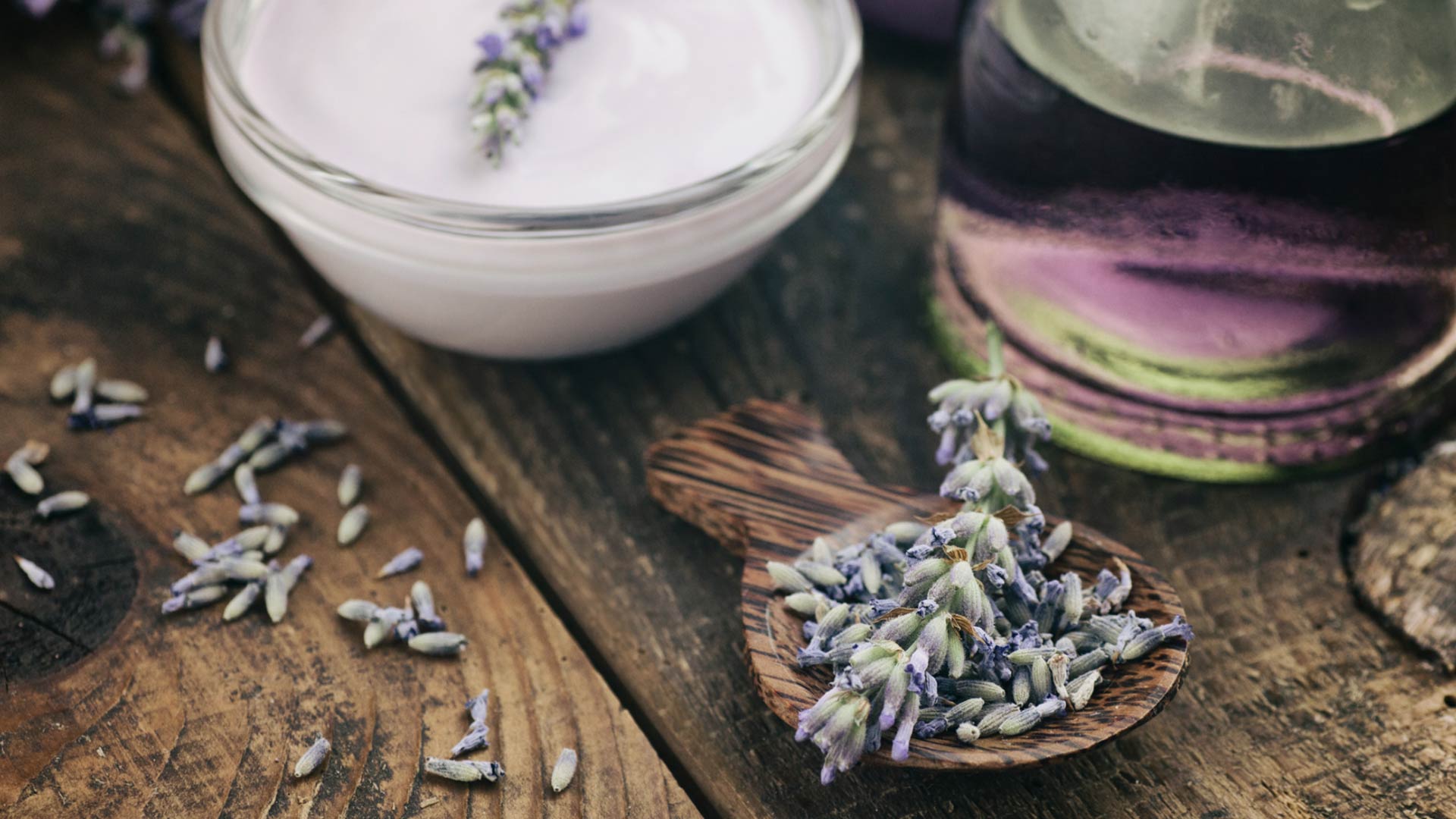 Lavendel pflanzen: so viele Verwendungsmöglichkeiten einfach desmondo garten
