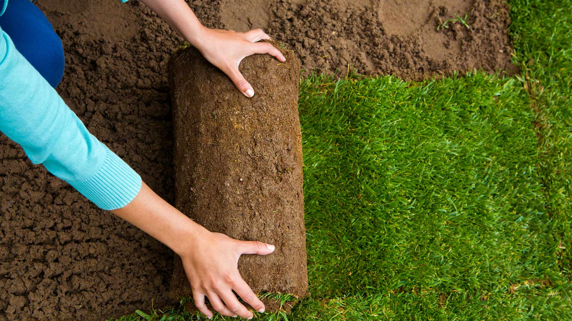 Rasen säen einfach- so geht es richtig einfach desmondo garten