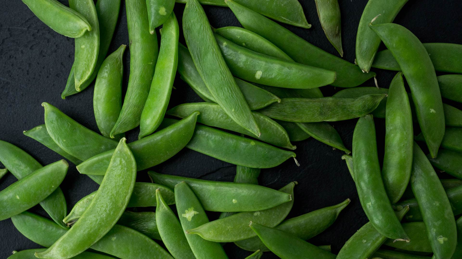 Zuckerschoten - Die Erbse die auch roh schmeckt einfach desmondo garten