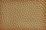 Muster Ledersofa- Bild Quelle Shutterstock