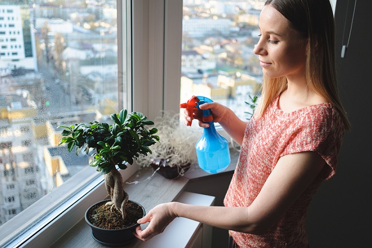 gartentrends 2021 bonsai pflege desmondo