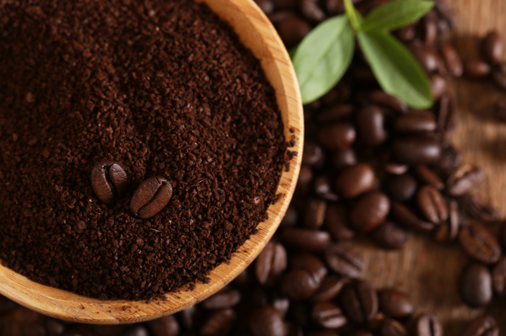 Outdoor - Inspirationen für Balkon und Garten - Kaffeesatz zur Pflege von Pflanzen - so geht's einfach desmondo