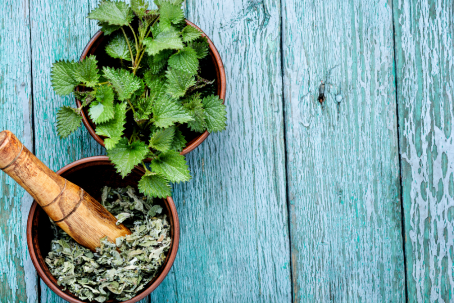 Outdoor - Inspirationen für Balkon und Garten - Unkraut? Von wegen! Das kann die Brennessel - so geht's einfach desmondo