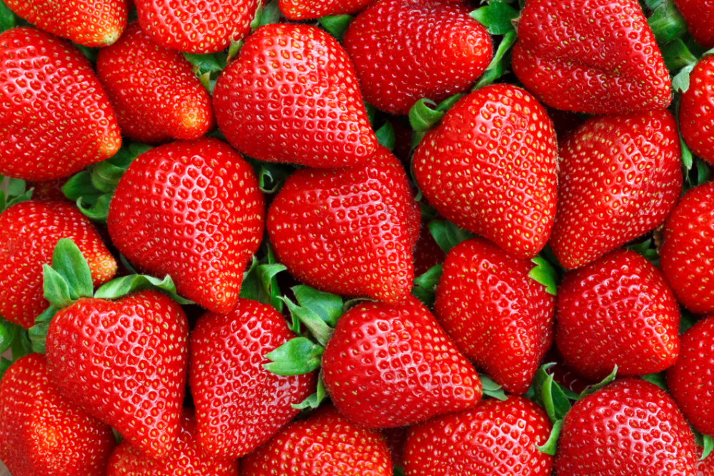 Outdoor - Inspirationen für Balkon und Garten - Mit diesen Früchten wird dein Balkon zum Obstparadies - so geht's einfach desmondo