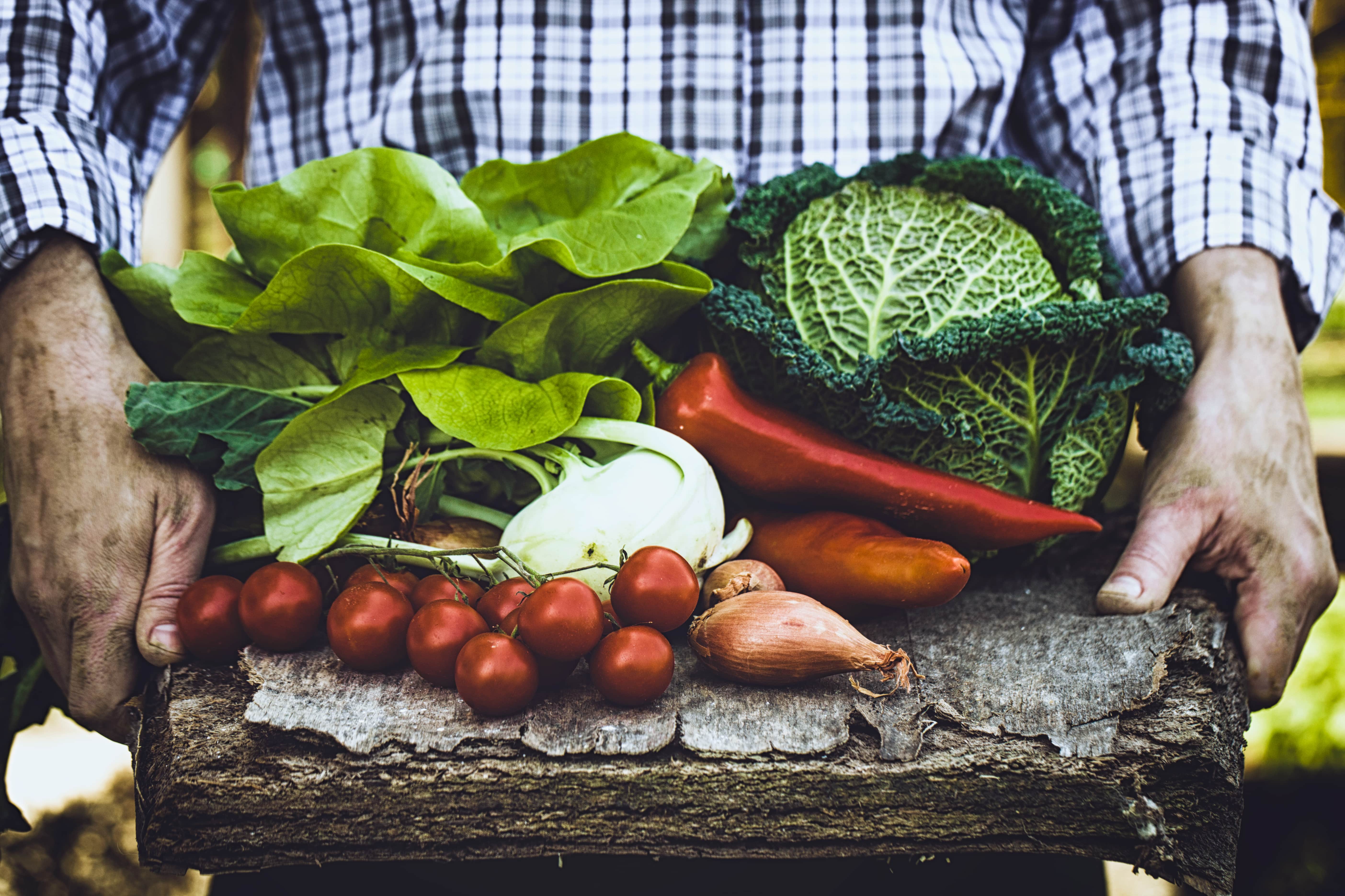 Outdoor - Inspirationen für Balkon und Garten - Gemüse für Schattenplätze - so geht's