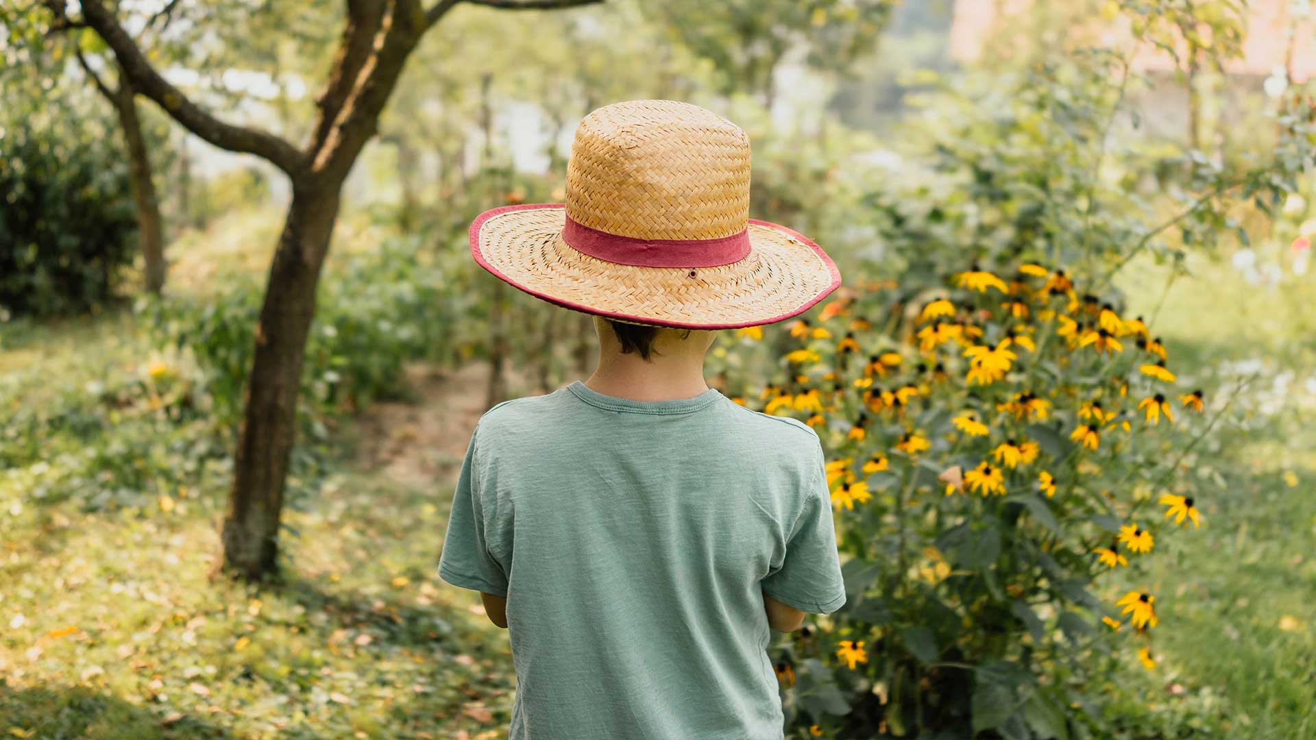 Outdoor - Inspirationen für Balkon und Garten - Vorteile von Schmetterlingen im Garten - so geht's einfach desmondo