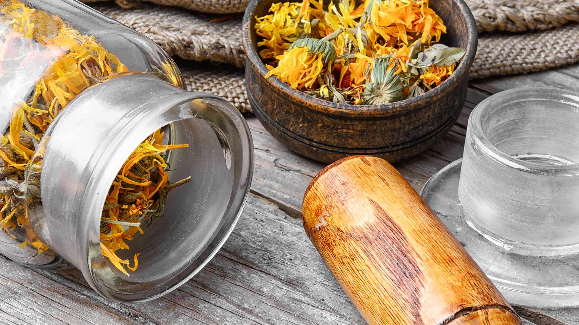 Outdoor - Inspirationen für Balkon und Garten - 17 essbare Wildkräuter für alle Jahreszeiten - so geht's einfach desmondo