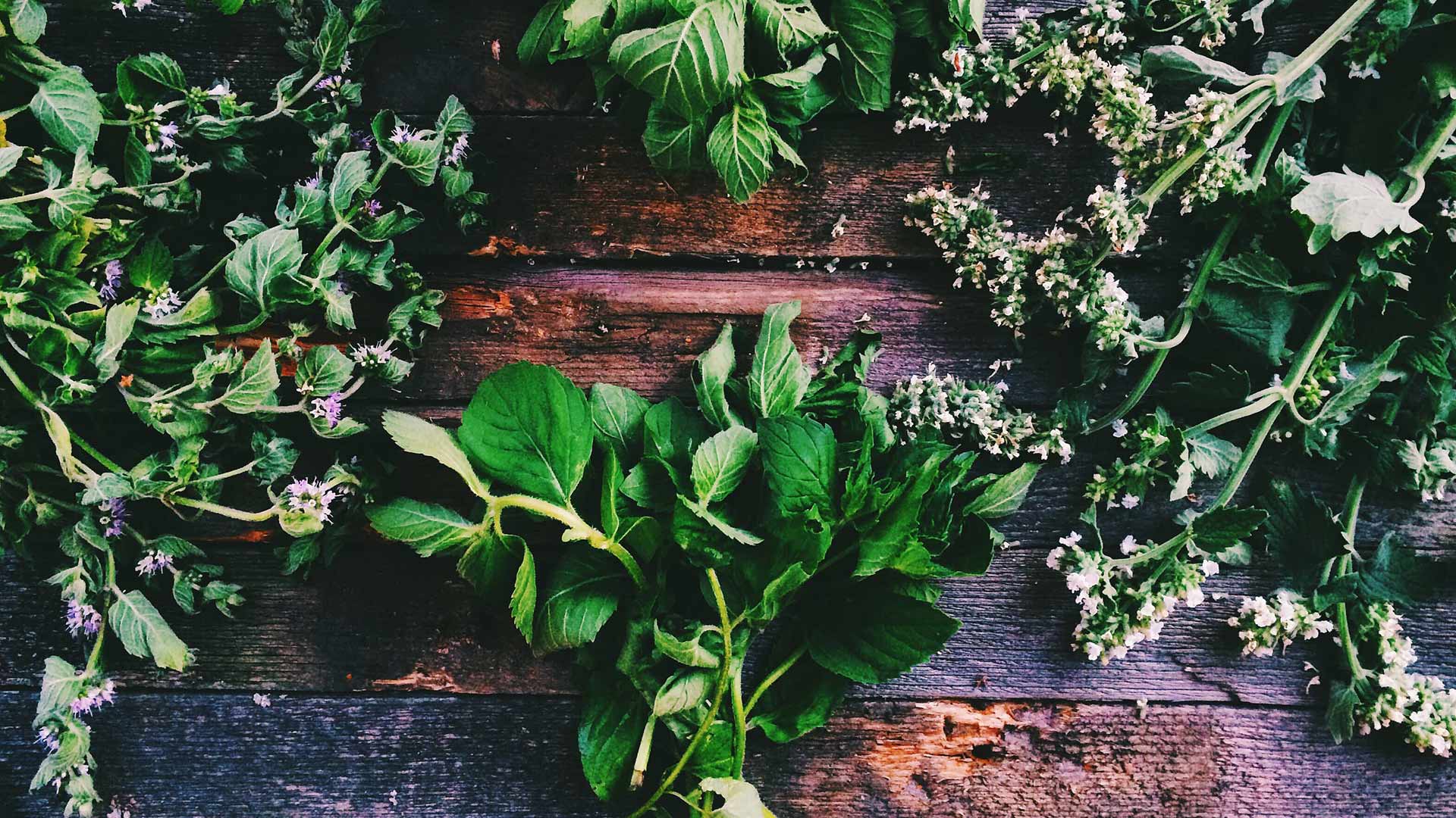 Outdoor - Inspirationen für Balkon und Garten - 17 essbare Wildkräuter für alle Jahreszeiten - so geht's einfach desmondo