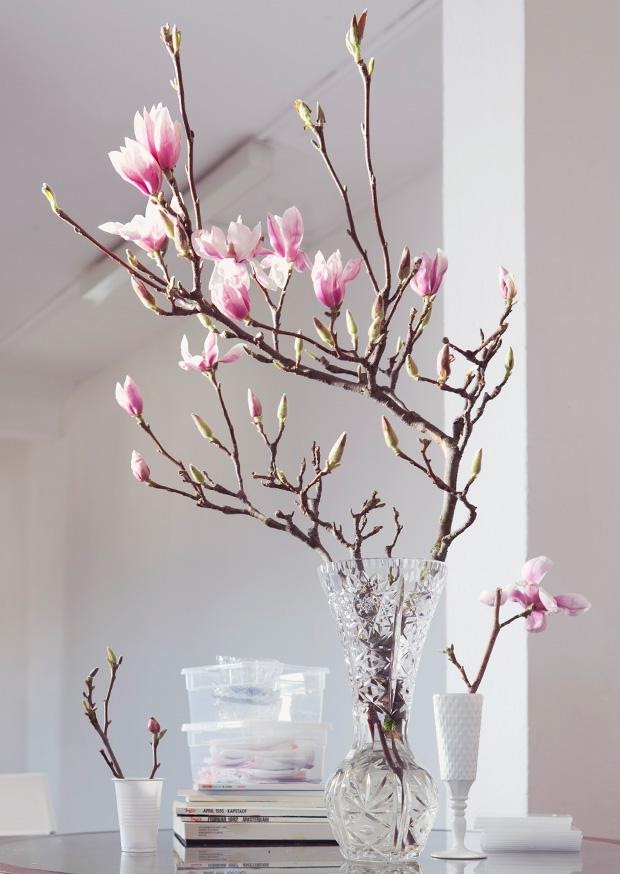 Indoor - Inspirationen für deinen Wohnraum - Kirschblüten Zweige (lat. Prunus serrulata) - so geht's einfach desmondo