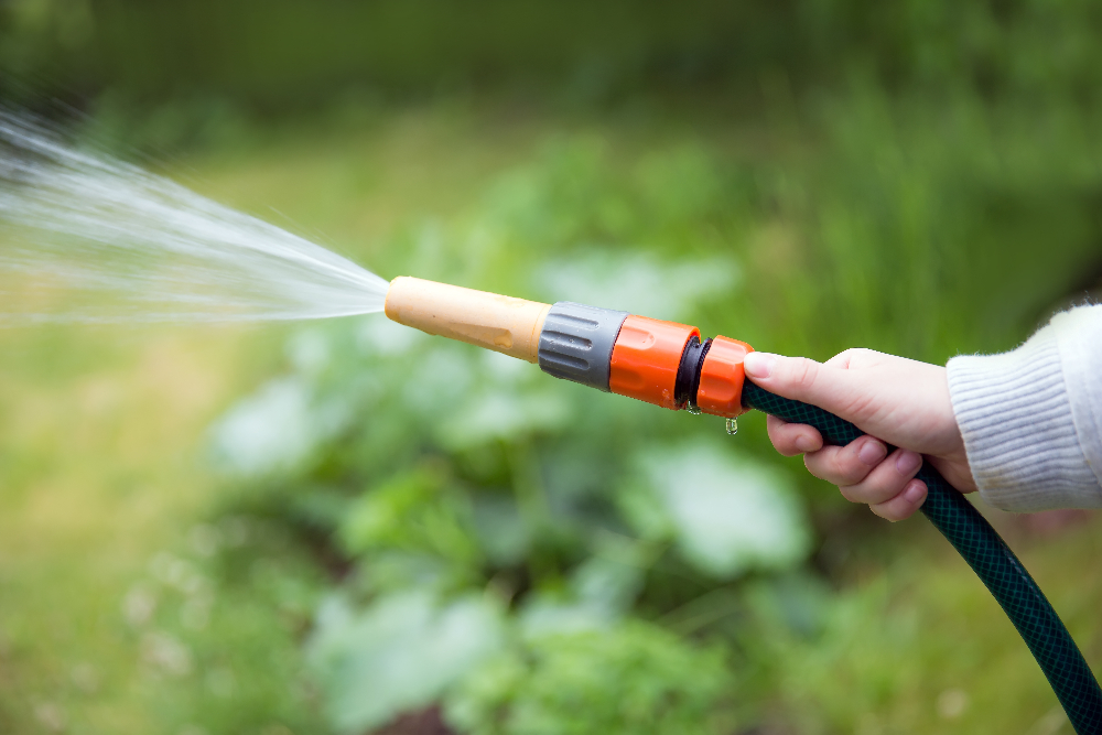 Gartenarbeit im Mai Desmondo