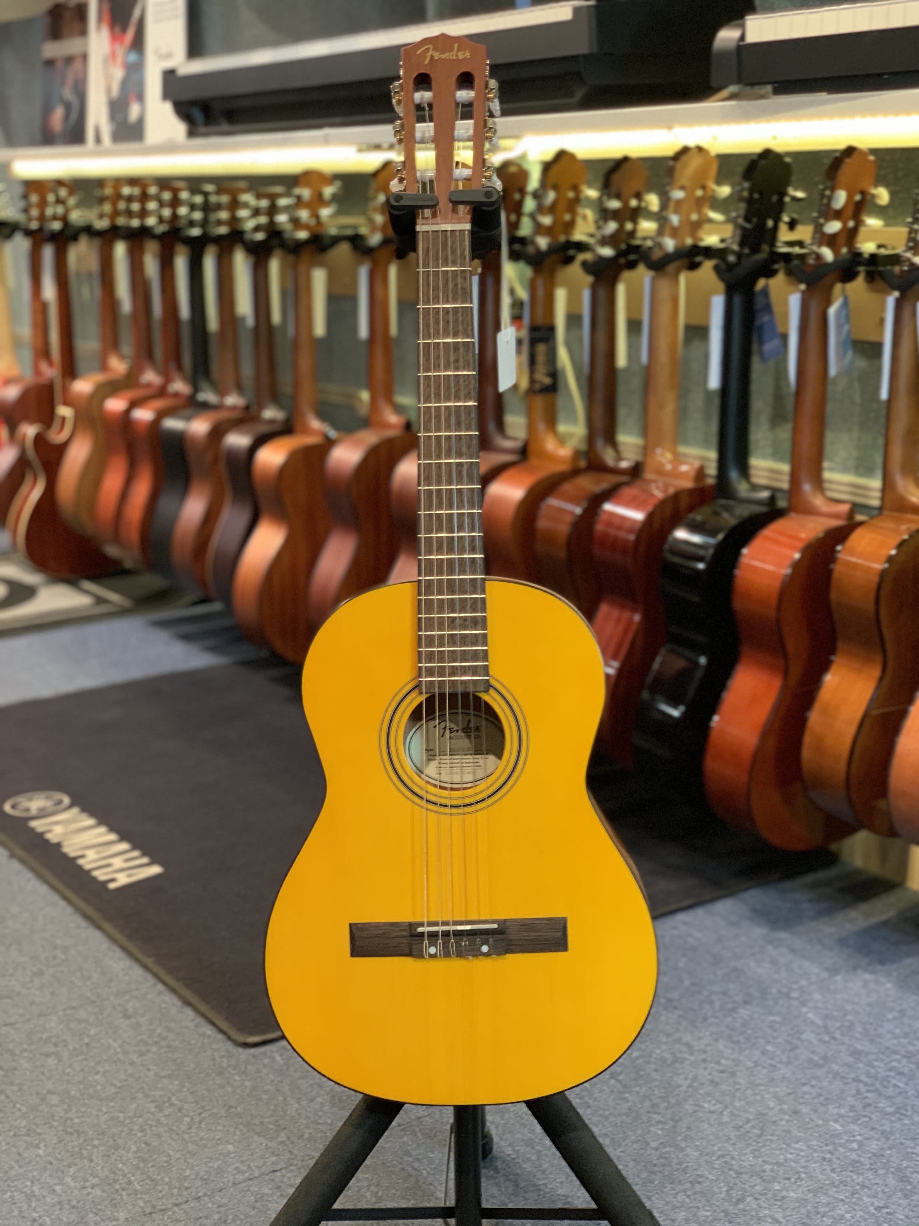 Fender ESC80 3/4