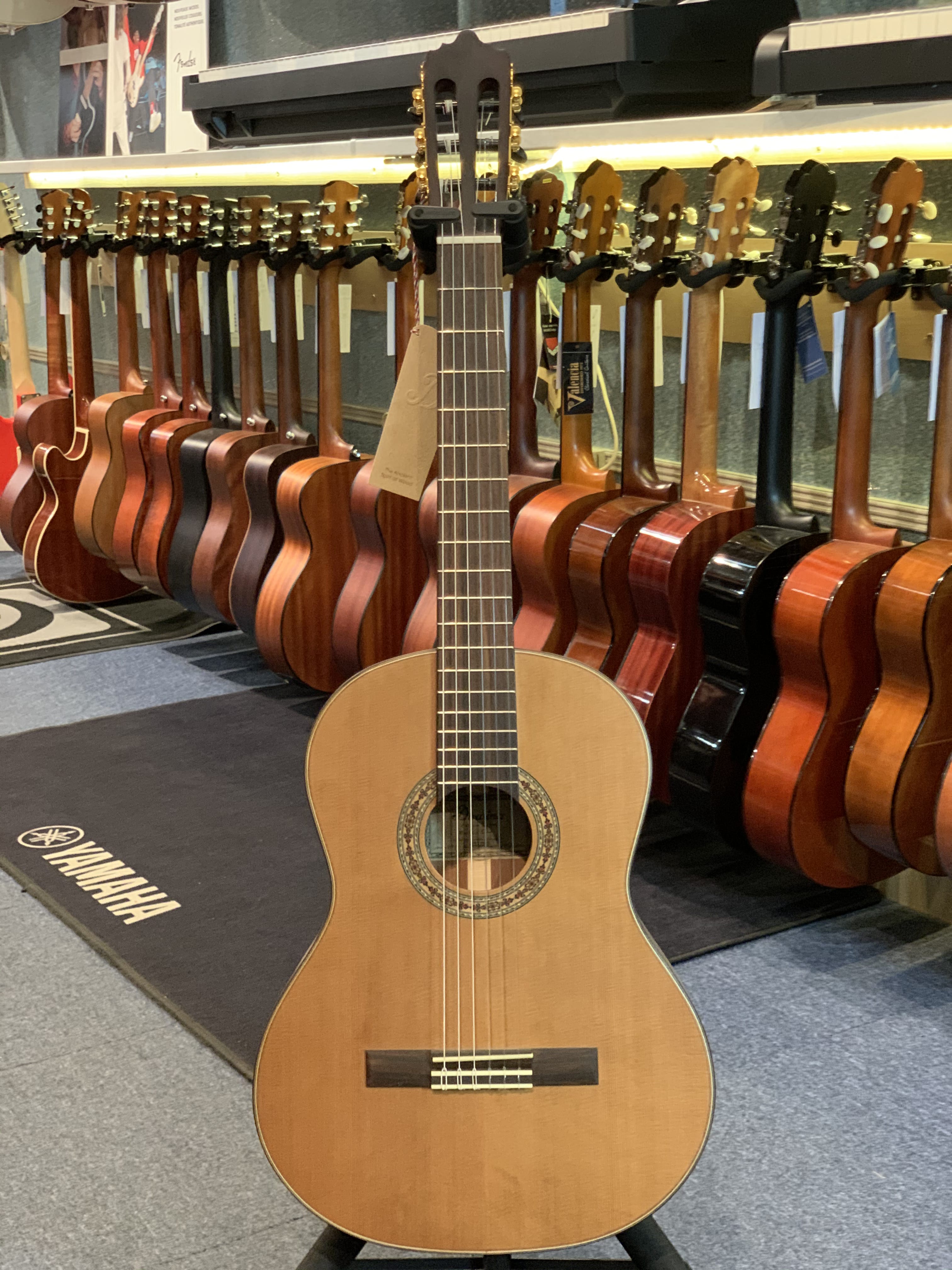 Dowina RUSTICA CL